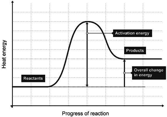 Exothermic & Endothermic Reactions | Chemistry for Grade 10