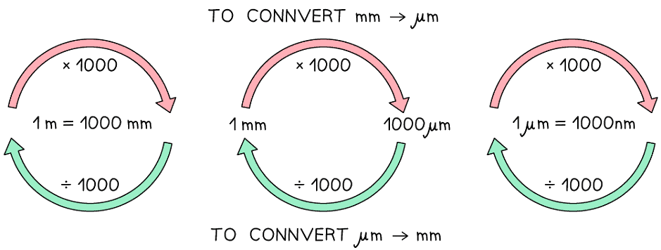 Scale & the Size of Cells