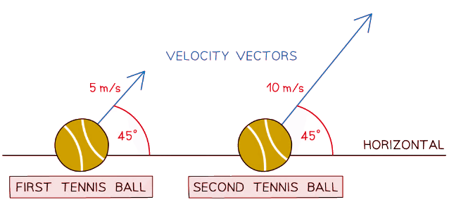 Scalars & Vectors | Physics for Grade 10