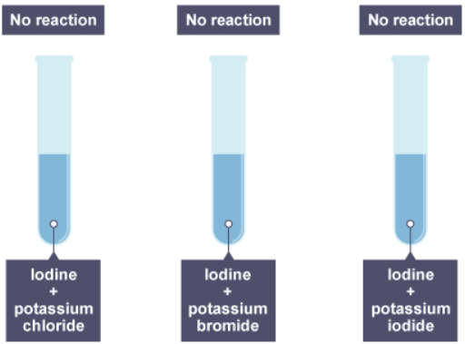 Groups in the periodic table | Chemistry for Grade 10