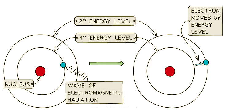 The electron absorbs electromagnetic radiation which causes it to move up an energy level