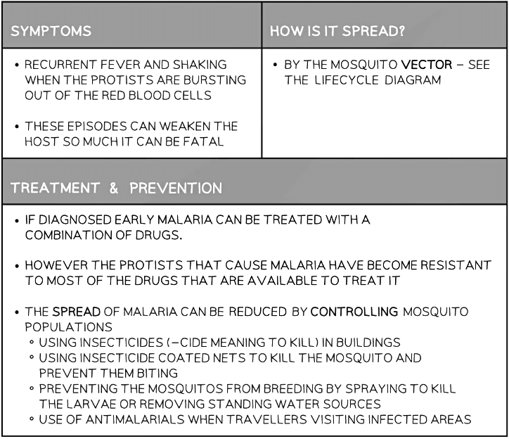 Protist Diseases | Biology for Grade 10