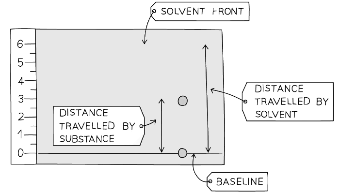 Using Rf values to identify components of a mixture