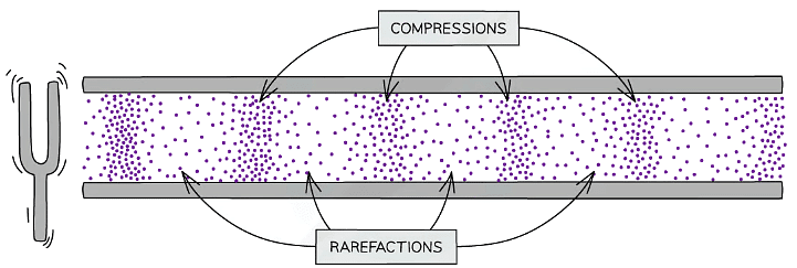 Sound is a longitudinal wave consisting of compressions and rarefactions - these are areas where the pressure of the air varies with the wave