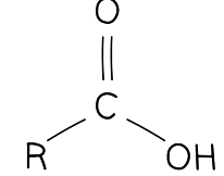Diagram of the general structure of a carboxylic acid. The R- represents a varying hydrocarbon chain