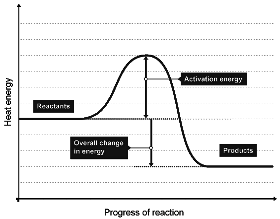 Exothermic & Endothermic Reactions | Chemistry for Grade 10