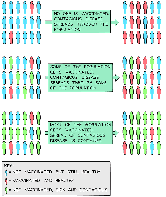Herd immunity protects the vulnerable that may not be able to have the vaccine