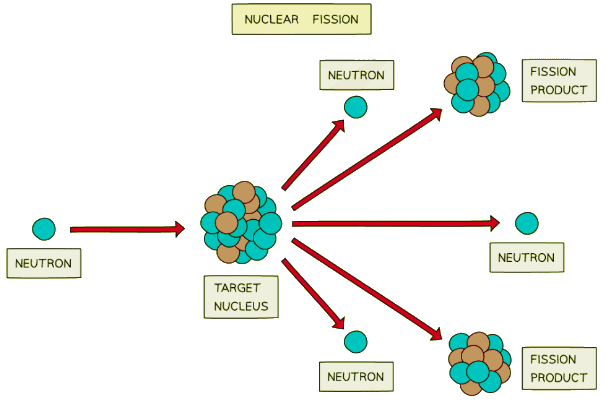 The diagram above is useful because it shows clearly the different parts of the fission reaction