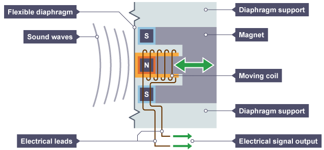 A moving-coil microphone