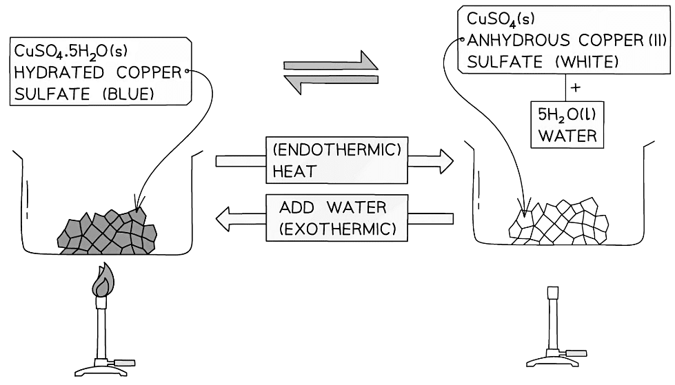 Energy changes & reversible reactions example
