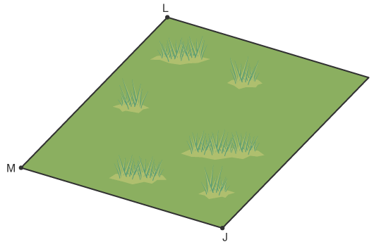Loci & Constructions | Mathematics for Grade 10