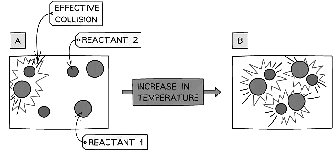 An increase in temperature causes an increase in the kinetic energy of the particles. The number of successful collisions increases 