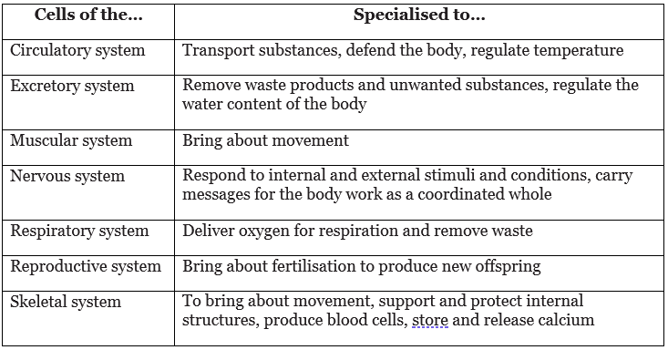 Notes: Cell Division | Biology for Grade 10