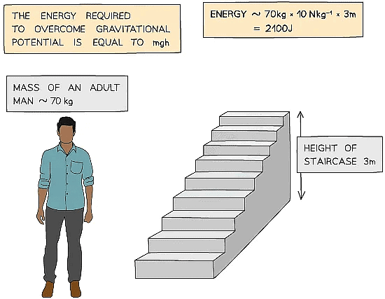 Physical Quantities and units | Physics for Grade 10