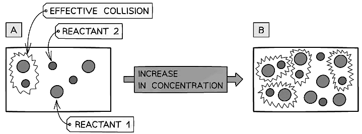 The diagram shows a higher concentration of particles in (b) which means that there are more particles present in the same volume than (a) so the number of collisions between reacting particles is increased causing an increased rate of reaction
