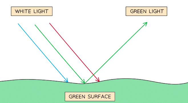 A green surface reflects green light and absorbs all other colours