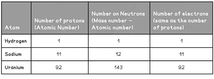 Atomic Number & Mass Number | Physics for Grade 10