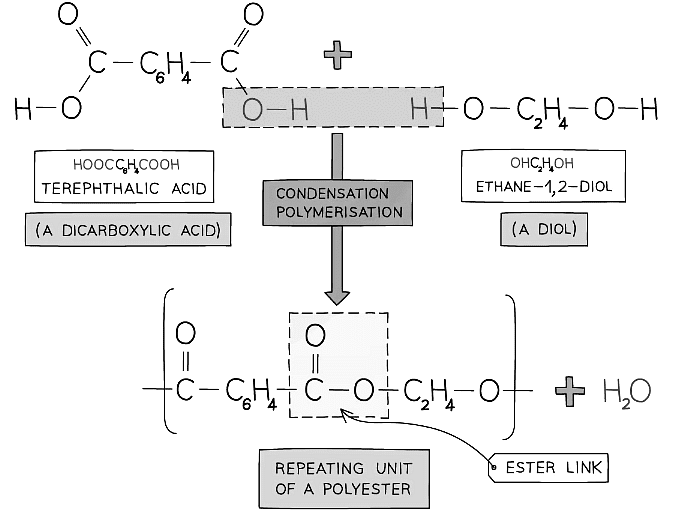 The condensation reaction in which the polyester terylene is produced