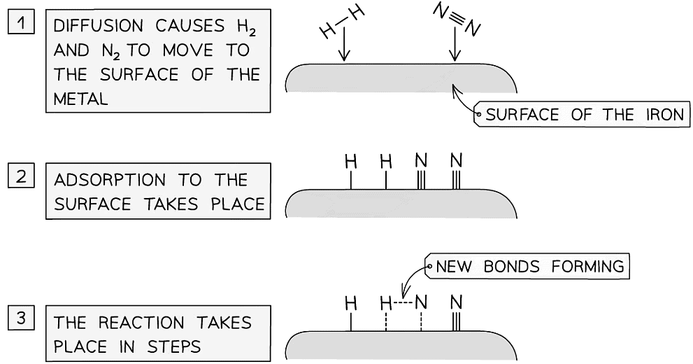 Catalysts: Rate of Reaction | Chemistry for Grade 10