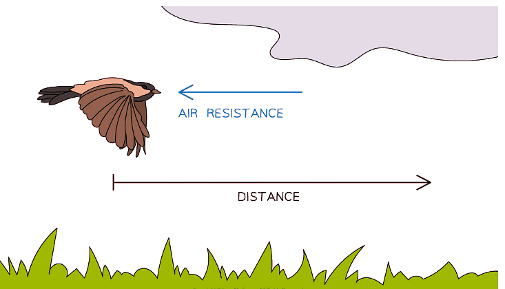 Air resistance (drag) does work against the bird as it flies through the air
