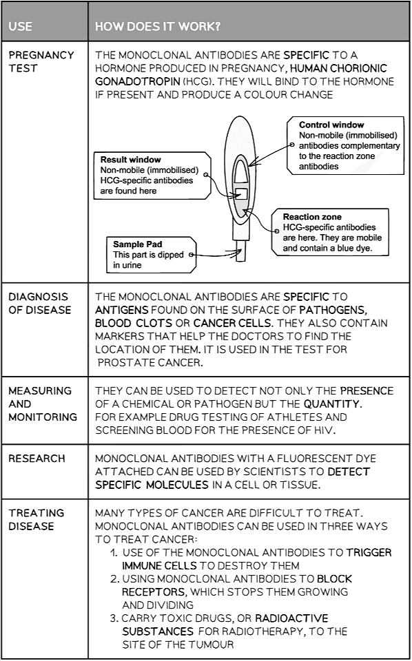 Uses of Monoclonal Antibodies