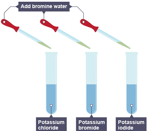 Groups in the periodic table | Chemistry for Grade 10