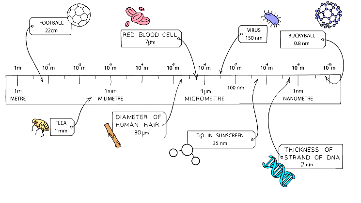 Diagram showing the size of nanoparticles relative to other objects and substances