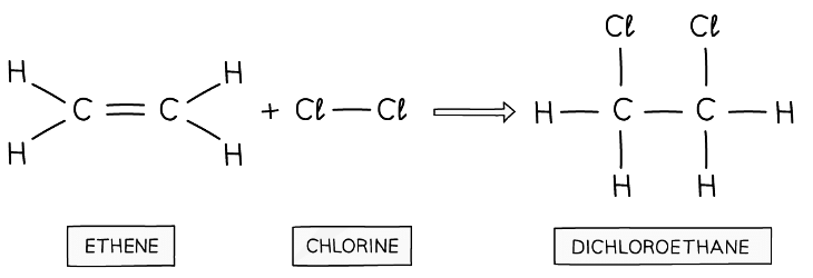 Chlorine atoms add across the C=C in the addition reaction of ethene and chlorine