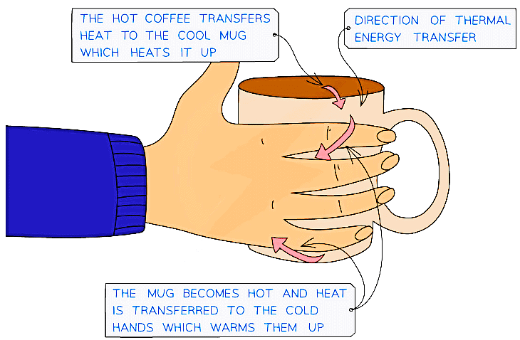 Thermal energy is transferred from the hot coffee to the mug and to the cold hands