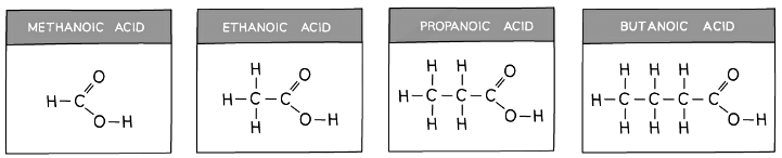 The structures and formulae of the first four carboxylic acids
