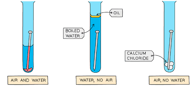 Diagram showing how the conditions for rusting can be investigated