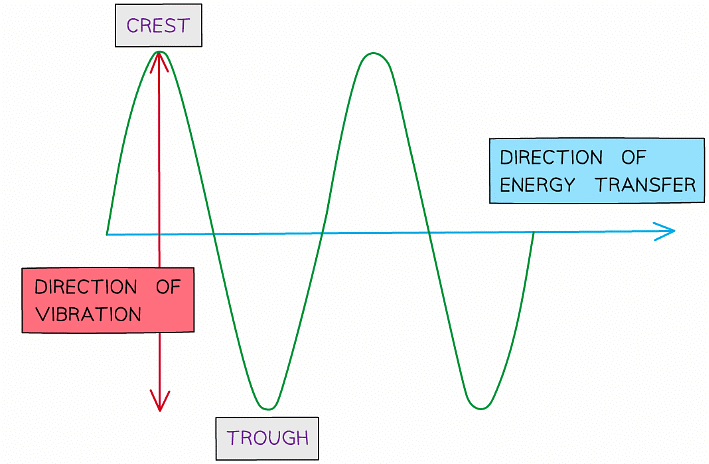 Transverse waves are represented as a continuous solid line