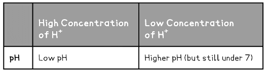 Strong & Weak Acids | Chemistry for Grade 10