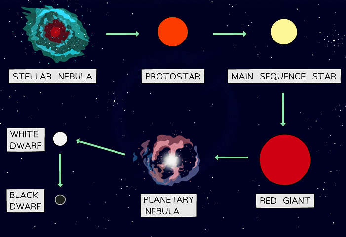 The Life Cycle of Solar Mass Stars & Larger Stars | Physics for Grade 10