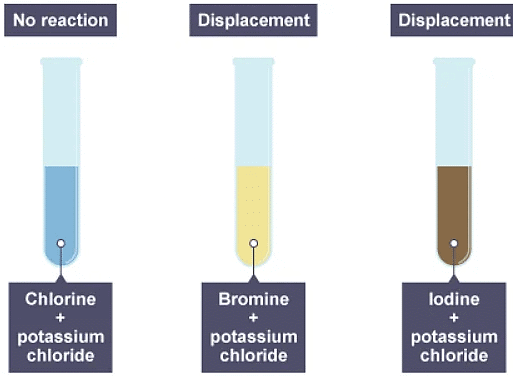 Groups in the periodic table | Chemistry for Grade 10