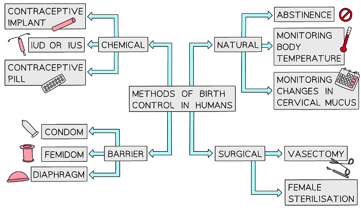 There are many different types of contraception but not everyone may have access to them