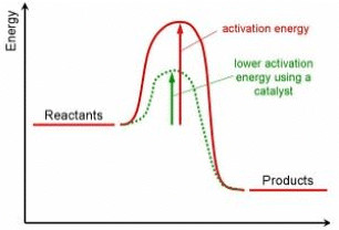 Rate & Extent of Chemical Change Chapter Notes | Chemistry for Grade 10