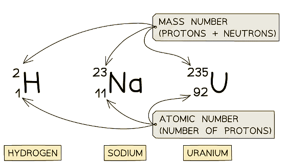 Examples of nuclear notation for atoms of Hydrogen, Sodium and Uranium