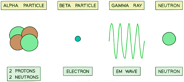 Alpha particles, beta particles, gamma waves and neutrons can be emitted from unstable nuclei