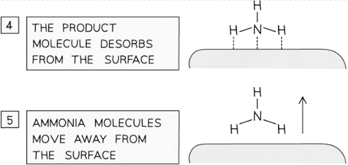 Catalysts work by attracting reactant molecules on to the surface and so providing an alternate reaction pathway of lower energy
