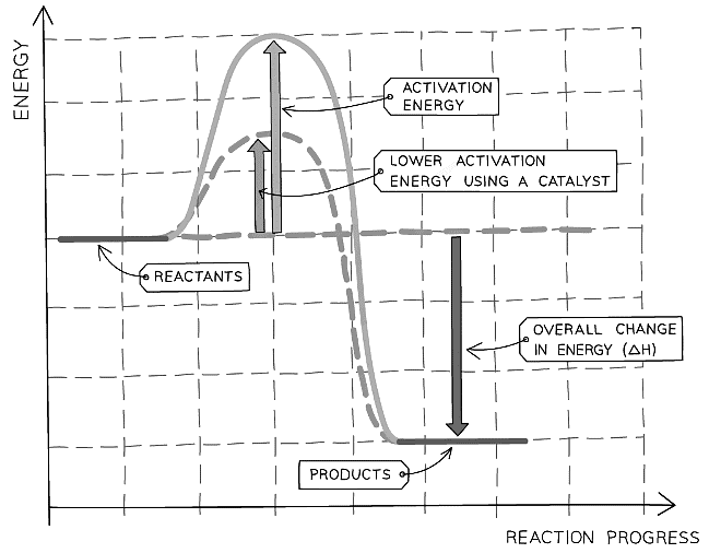 A reaction profile showing the effect of using a catalyst on the activation energy of a reaction