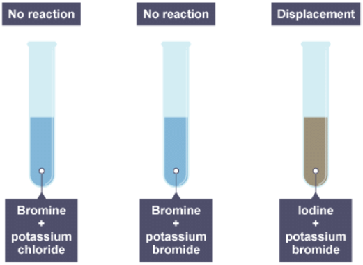 Groups in the periodic table | Chemistry for Grade 10