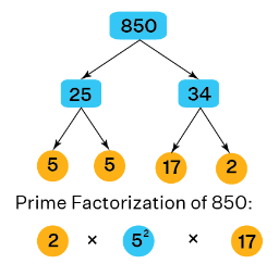 Prime Factorization | Mathematics for Grade 10