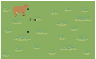 Loci & Constructions | Mathematics for Grade 10