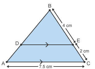 Notes: Congurent & Similar Shapes | Mathematics for Grade 10