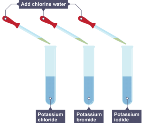 Groups in the periodic table | Chemistry for Grade 10