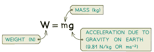 Calculating Weight | Physics for Grade 10