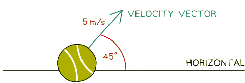 Scalars & Vectors | Physics for Grade 10