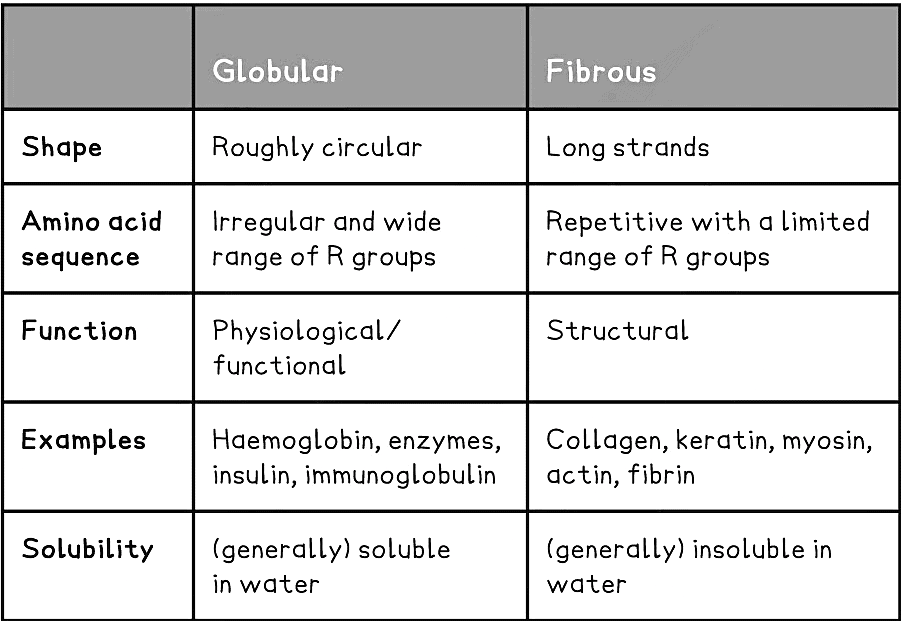 Proteins | Biology for Grade 12