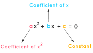 What are Quadratic Polynomials? | The Complete SAT Course - Class 10